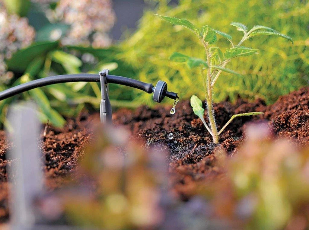 Hozelock 4 LPH End Of Line Pressure Dripper - Image 2