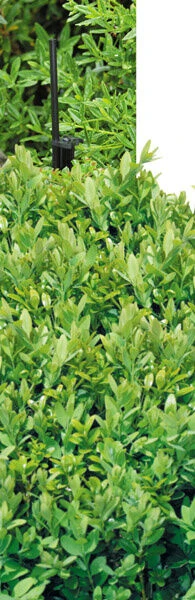 Hozelock 2789P0000 Hi Spike