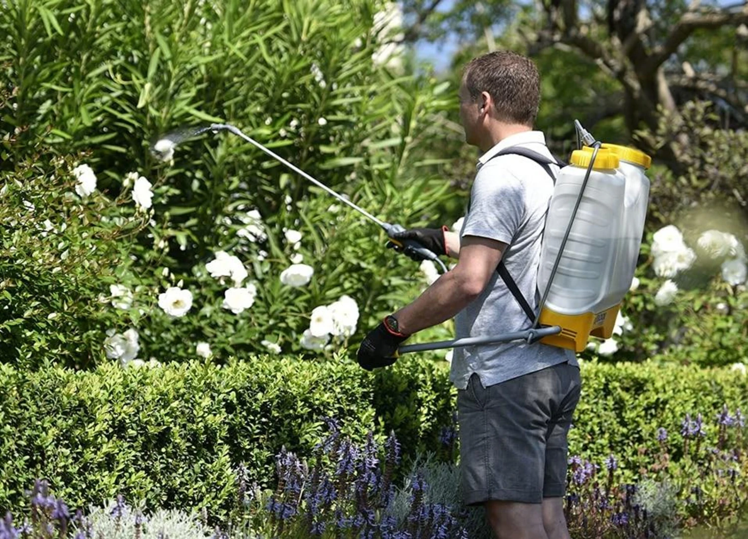 Hozelock Pulsar Comfort 16L Knapsack Pressure Sprayer Plus 4716 - Image 4