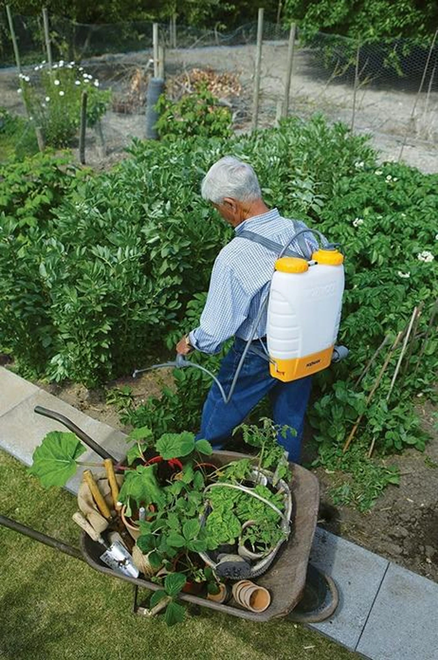 Hozelock Pulsar Comfort 16L Knapsack Pressure Sprayer Plus 4716 - Image 3